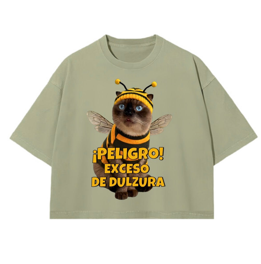 Playera Unisex Boxy Fit Oversize Heavyweight