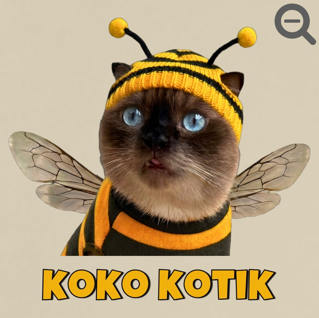 Hoodie Unisex Clásico